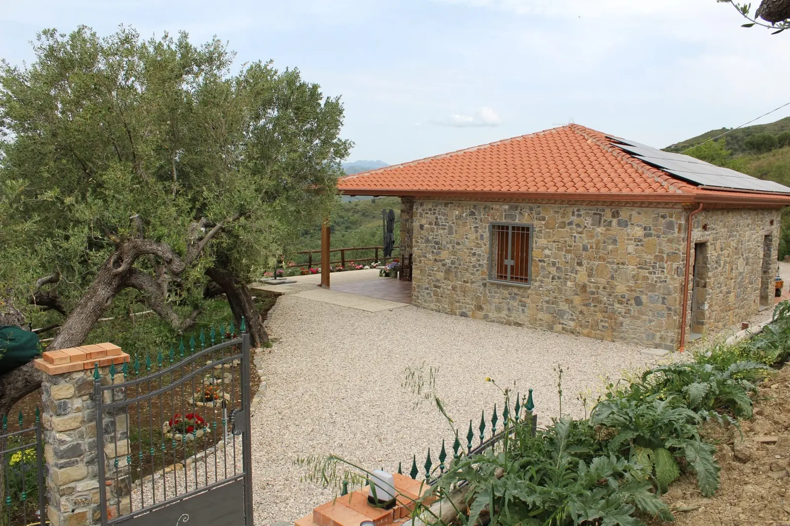 Ingresso dell'agriturismo Il Vecchio Carrubo ad Ascea, con edificio in pietra, grande ulivo e cortile
