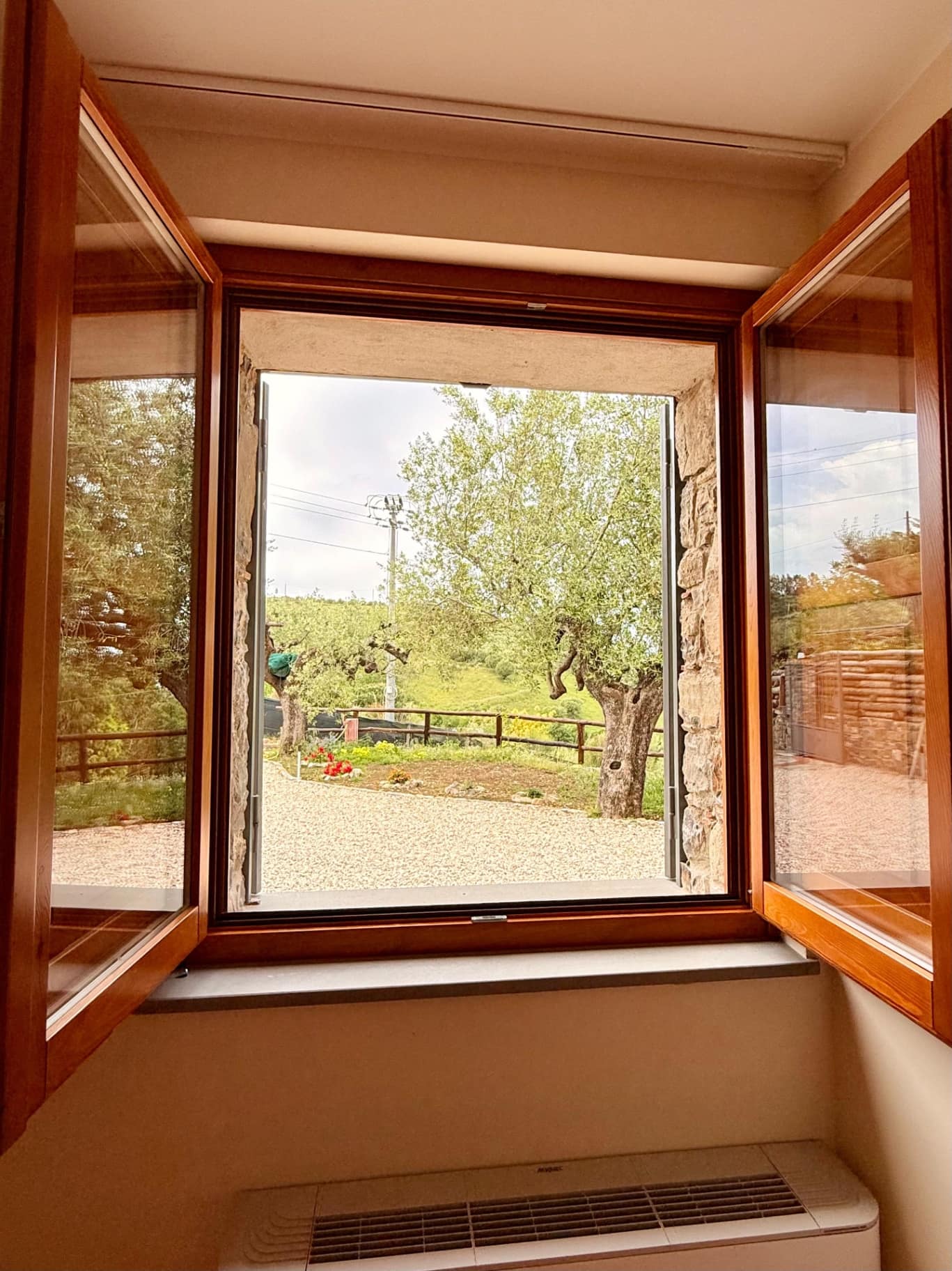 Vista sull'uliveto cilentano dalla finestra della Camera del Fico — agriturismo Vecchio Carrubo