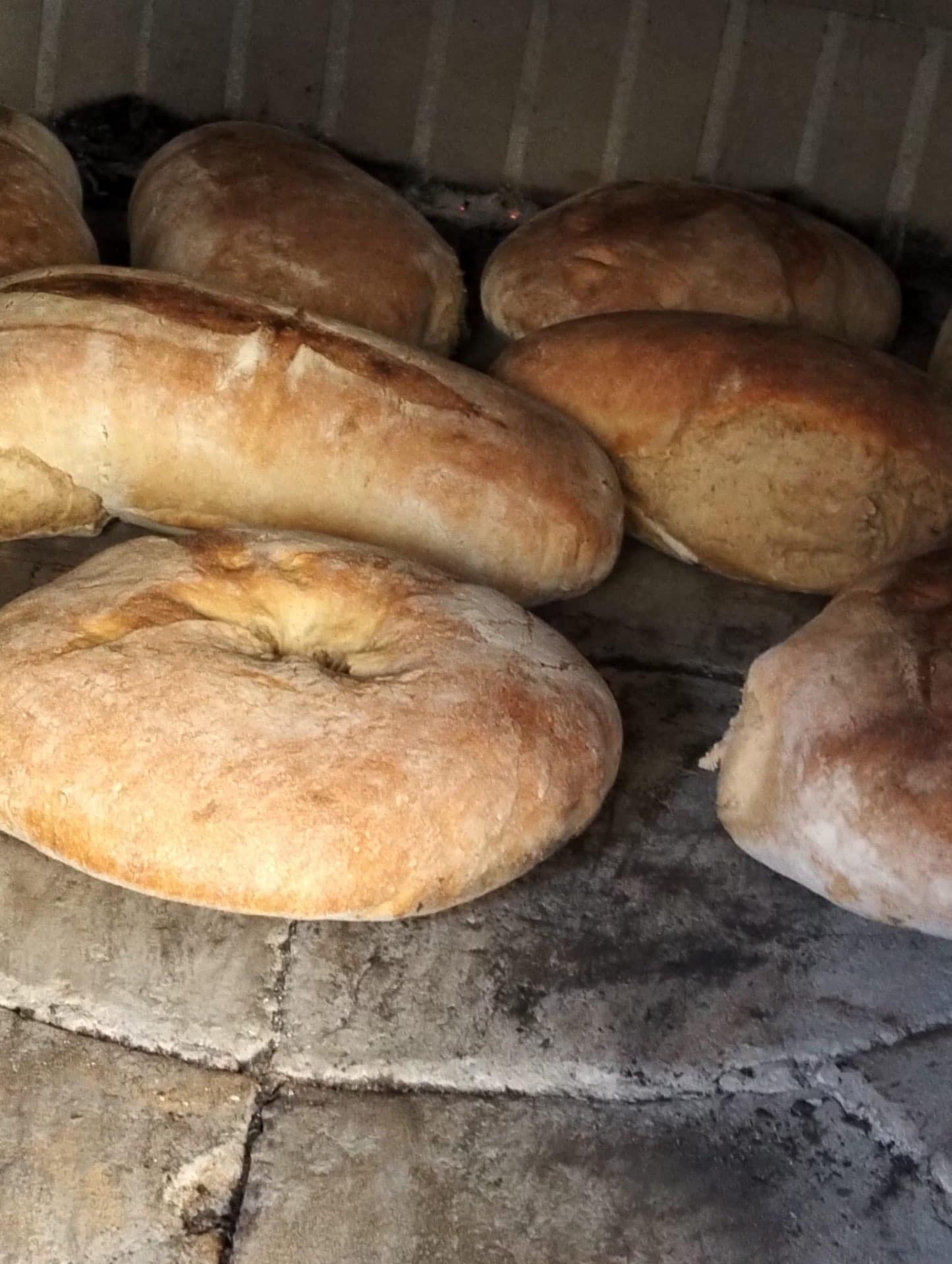 Pane casereccio cotto nel forno a legna ad Ascea, Cilento — Vecchio Carrubo