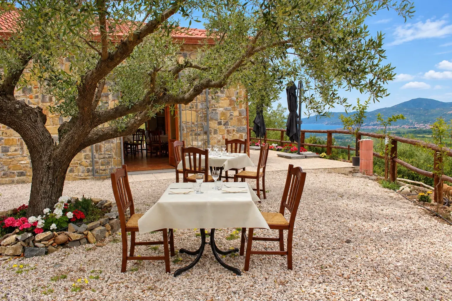 Terrazza del ristorante Il Vecchio Carrubo ad Ascea, con tavoli apparecchiati sotto un ulivo e mare sullo sfondo