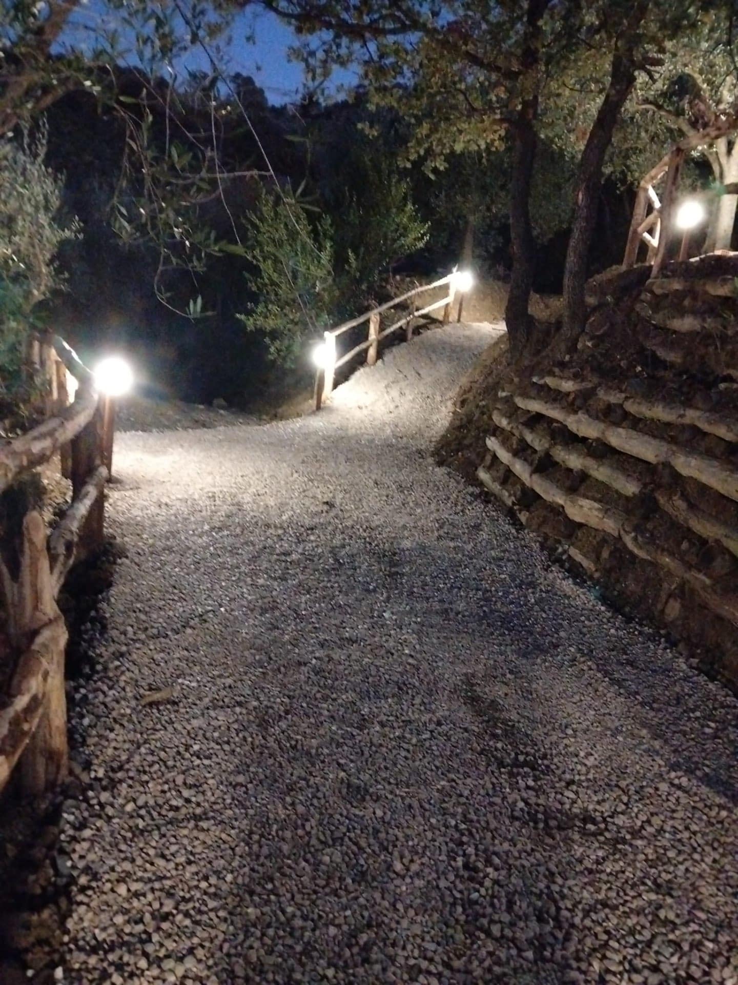 Vialetto illuminato di sera tra gli ulivi all'Vecchio Carrubo, Ascea Cilento
